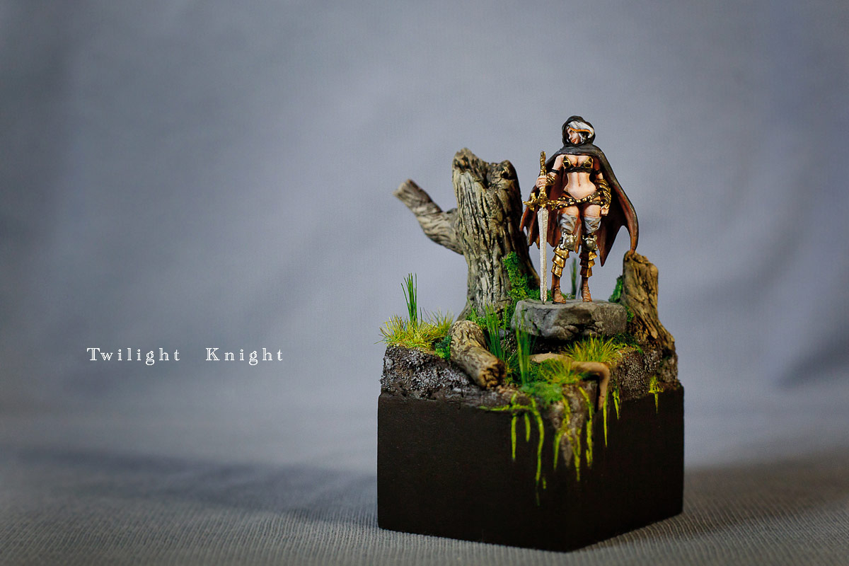 Miscellaneous: Pinup Twilight Knight, photo #1