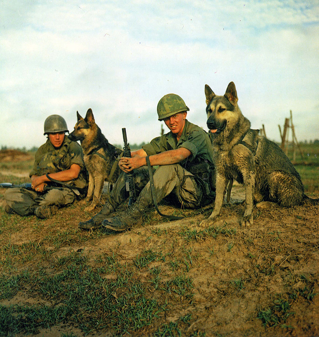 Dioramas and Vignettes: Scout with a dog. Vietnam, photo #15