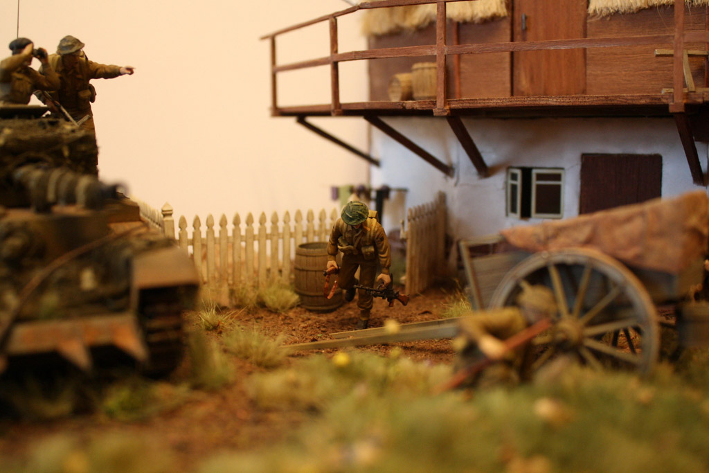 Dioramas and Vignettes: Tiger behind the corner!, photo #4