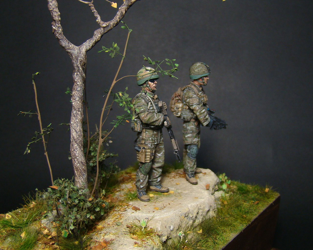 Dioramas and Vignettes: Misson «Afghanistan», photo #5