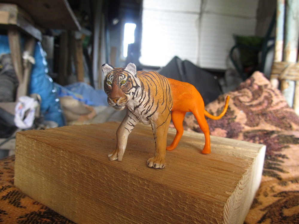 Dioramas and Vignettes: Caspian Tiger, photo #14