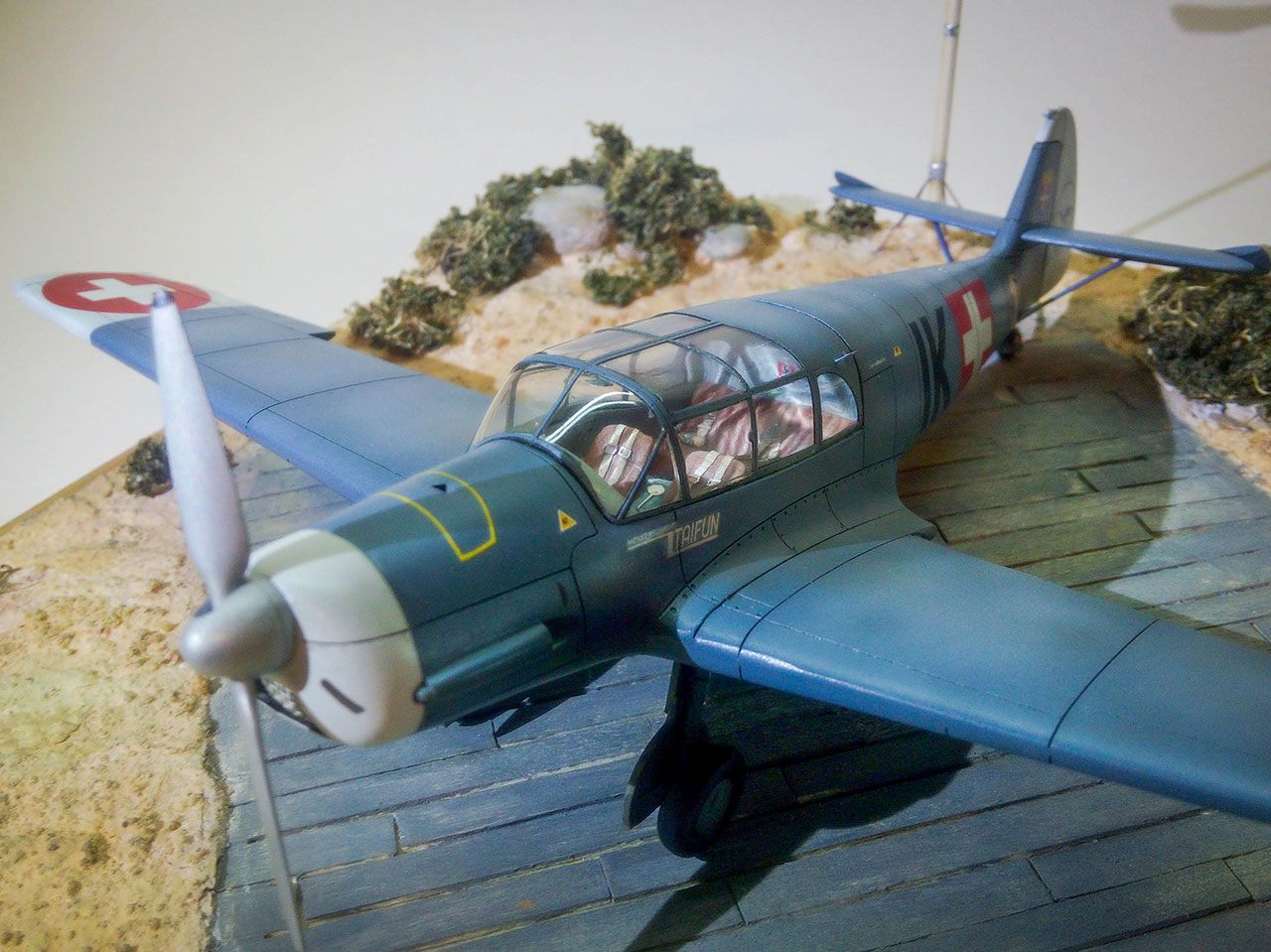 Dioramas and Vignettes: Bf-108 Taifun, photo #6