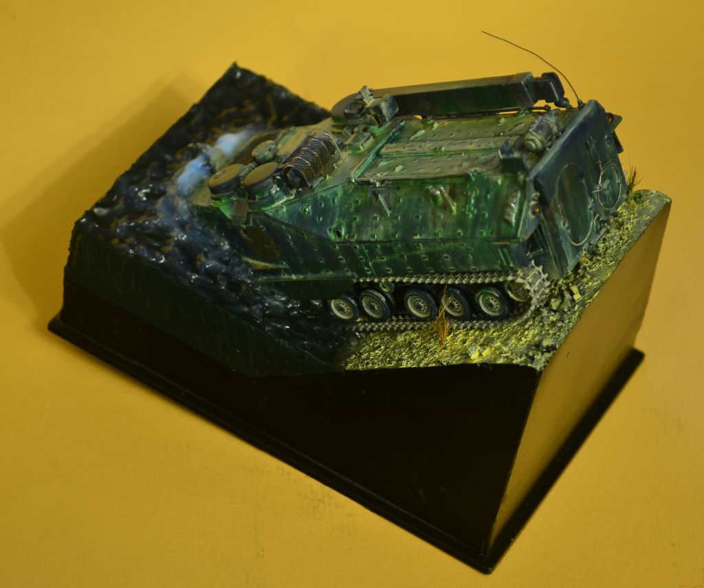 Dioramas and Vignettes: AAVR7A1: Bathing of the amphibian, photo #3