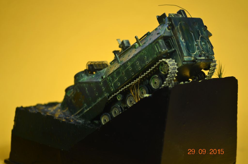 Dioramas and Vignettes: AAVR7A1: Bathing of the amphibian, photo #4