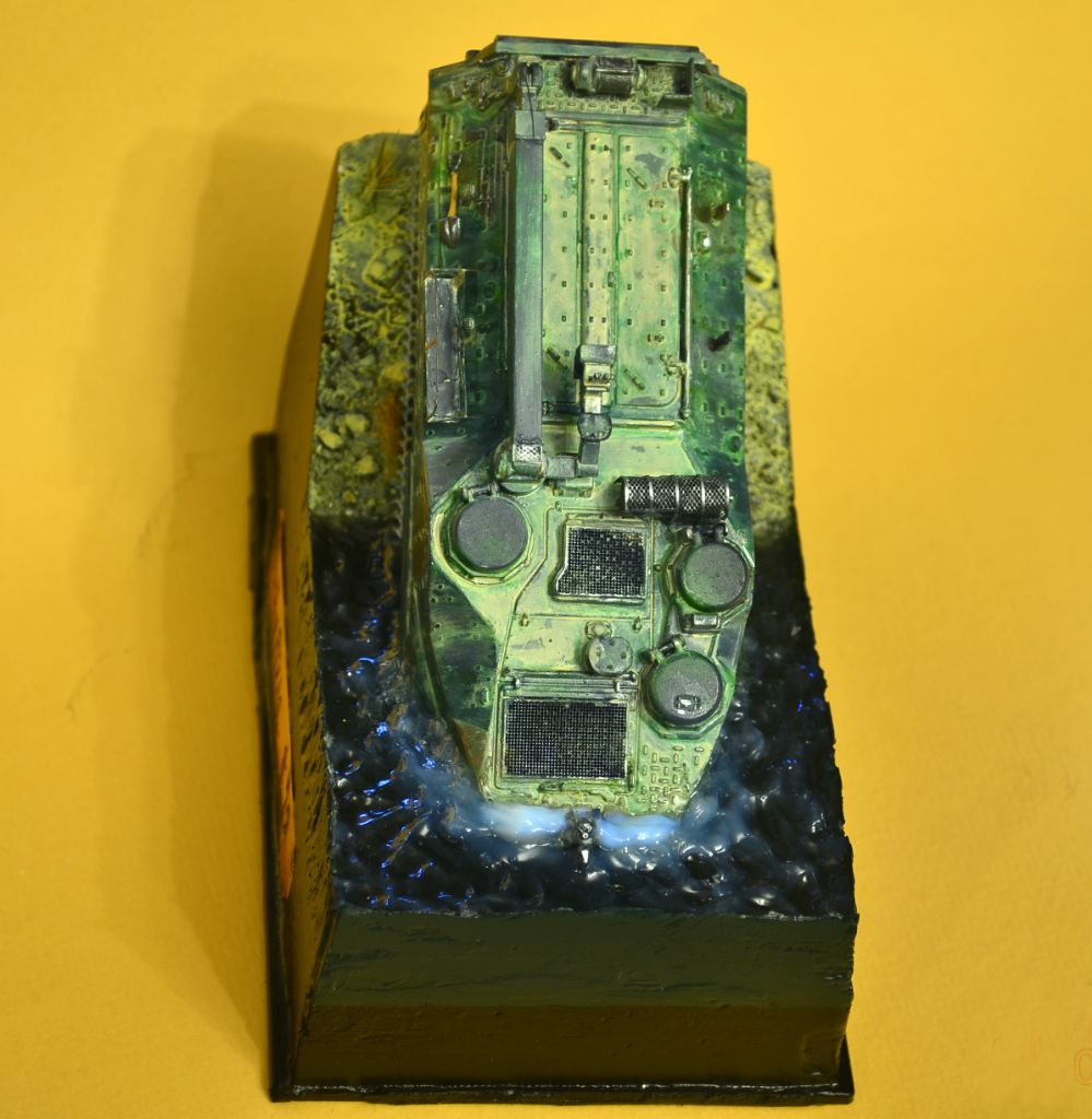 Dioramas and Vignettes: AAVR7A1: Bathing of the amphibian, photo #5