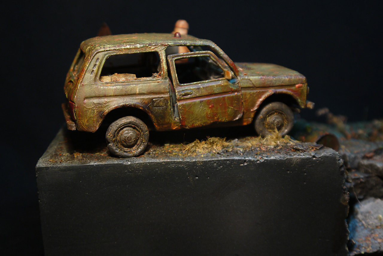 Dioramas and Vignettes: The Anomaly, photo #8