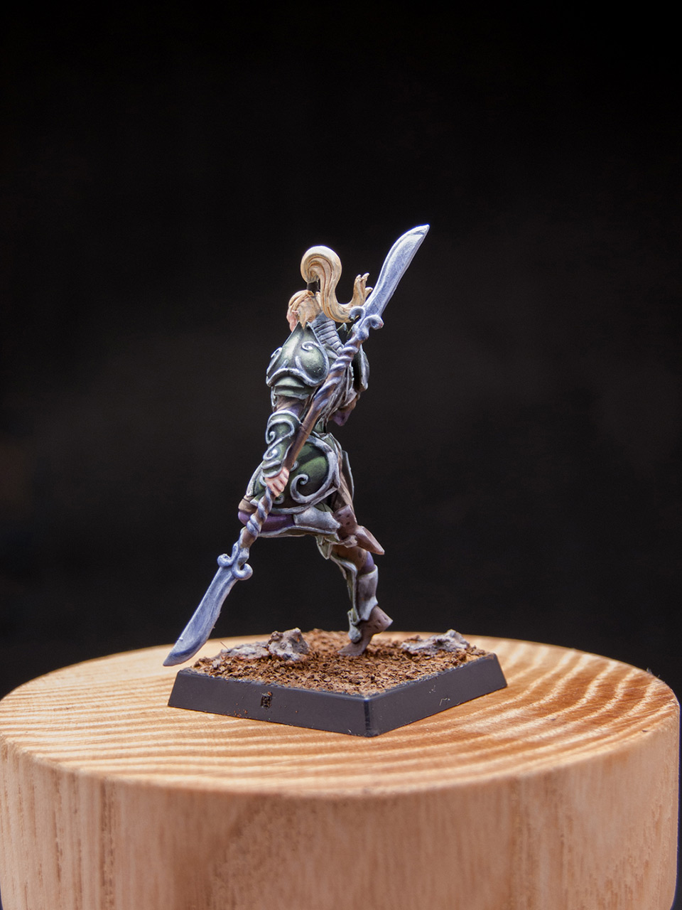 Miscellaneous: Elves of Silver Guard , photo #12