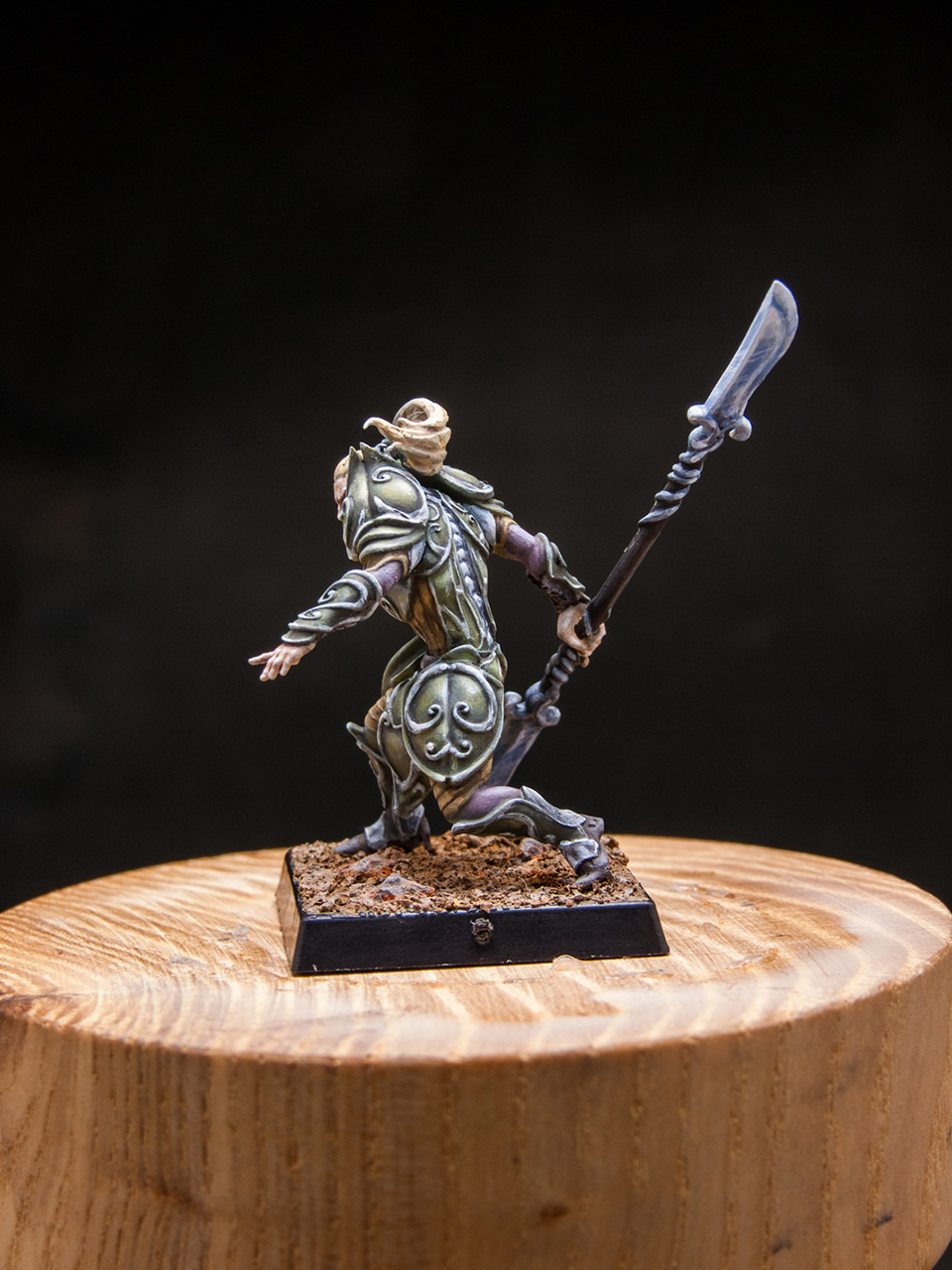 Miscellaneous: Elves of Silver Guard , photo #3