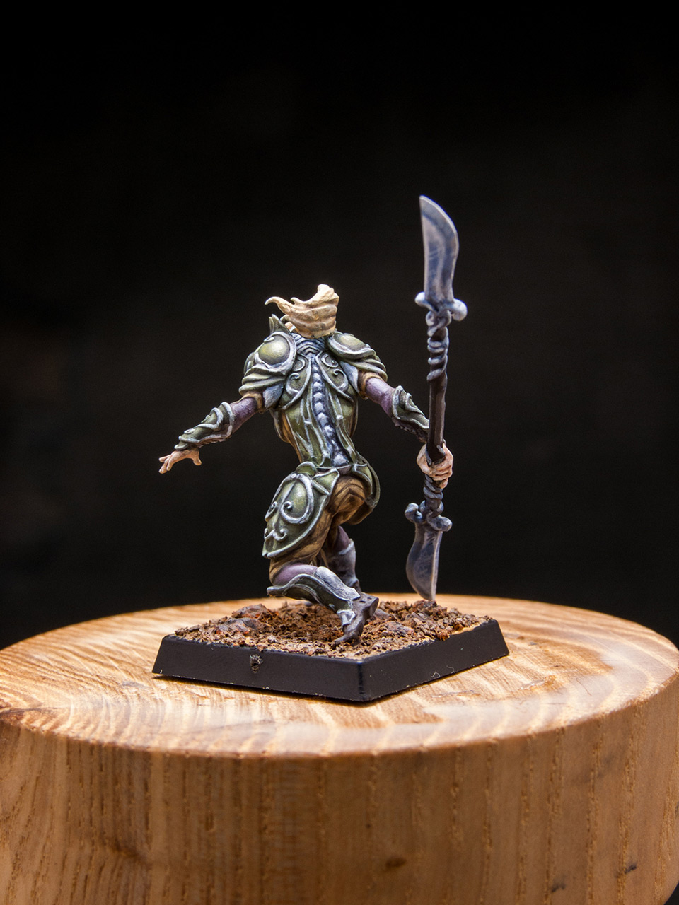 Miscellaneous: Elves of Silver Guard , photo #4