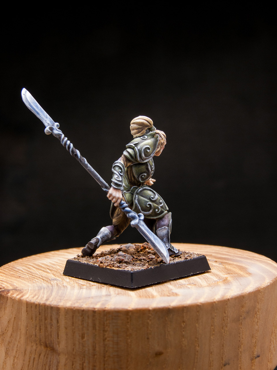 Miscellaneous: Elves of Silver Guard , photo #6