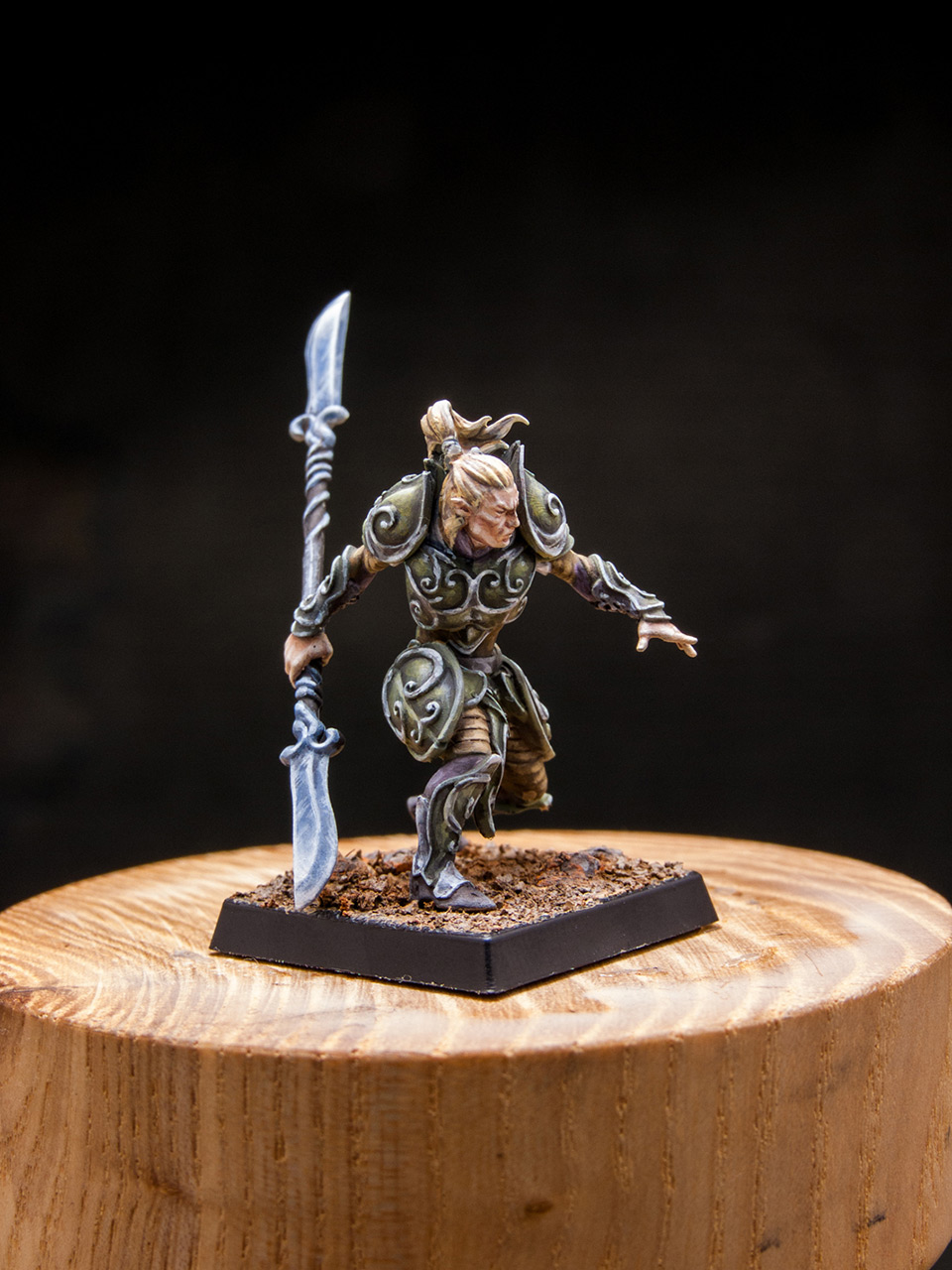 Miscellaneous: Elves of Silver Guard , photo #8