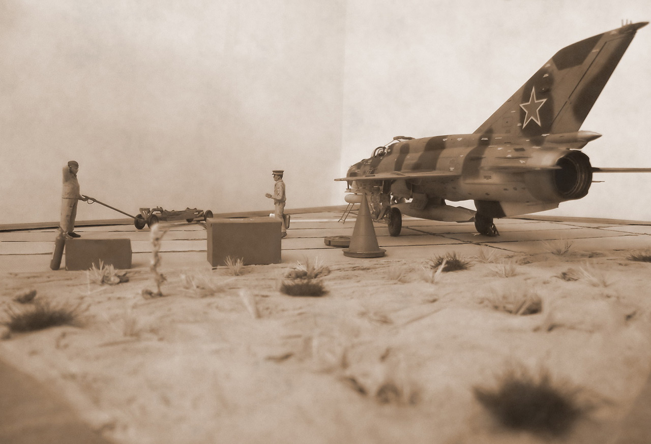 Dioramas and Vignettes: Afghan falcon, photo #002