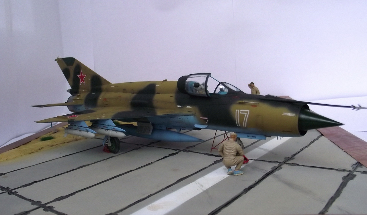 Dioramas and Vignettes: Afghan falcon, photo #11