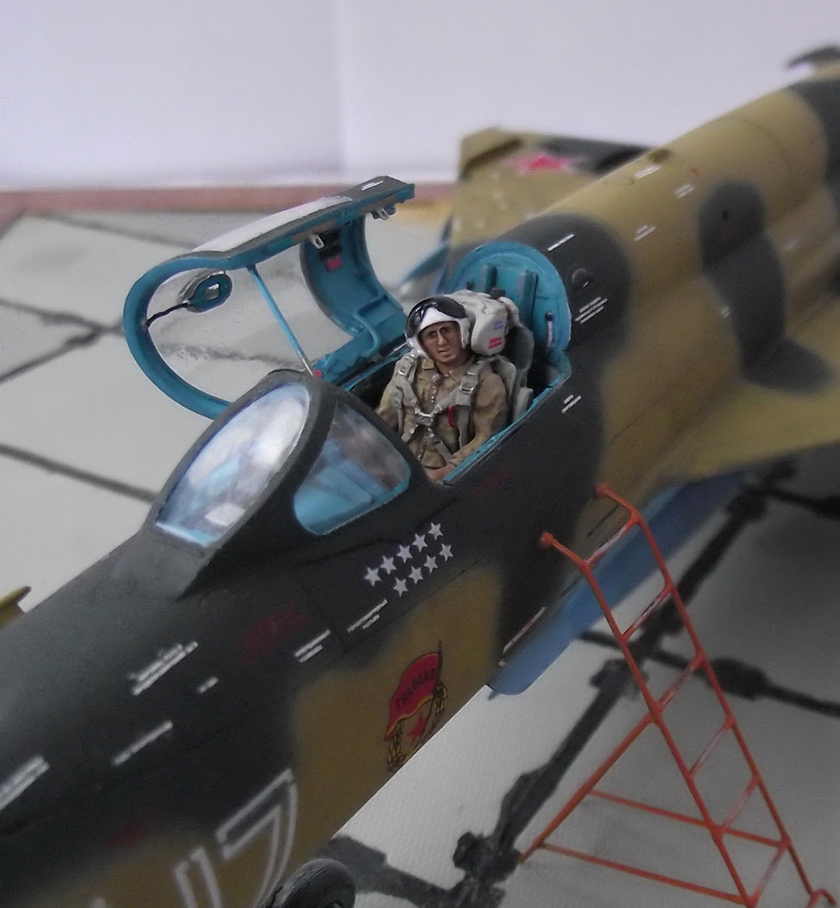 Dioramas and Vignettes: Afghan falcon, photo #21