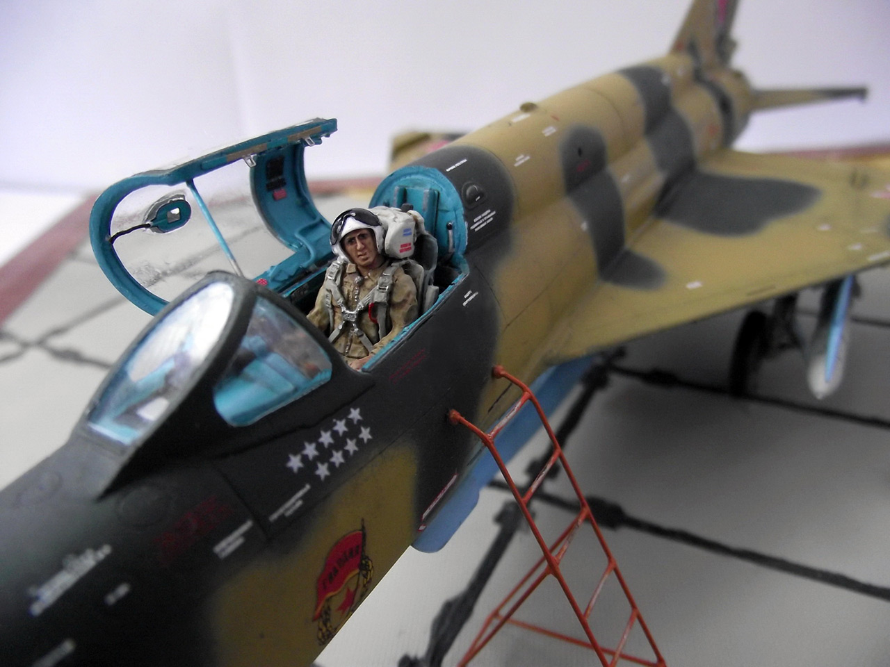 Dioramas and Vignettes: Afghan falcon, photo #27