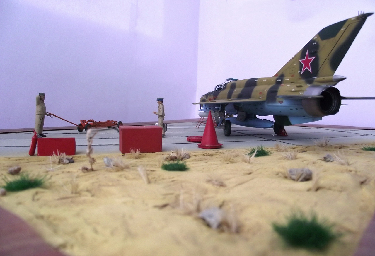 Dioramas and Vignettes: Afghan falcon, photo #28