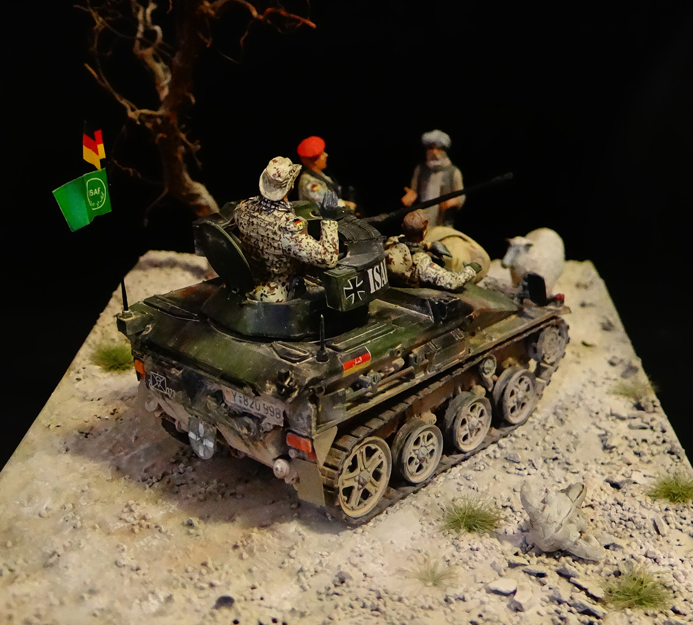 Dioramas and Vignettes: Wiesel, photo #6