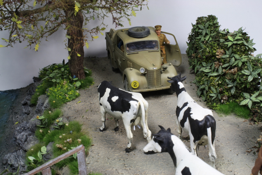 Dioramas and Vignettes: Countryside traffic, photo #3