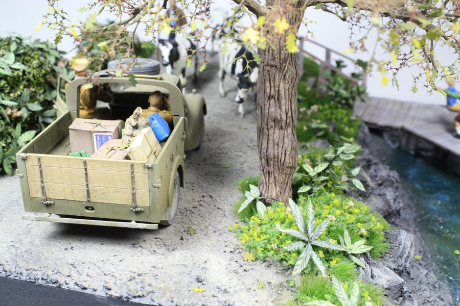 Dioramas and Vignettes: Countryside traffic, photo #9