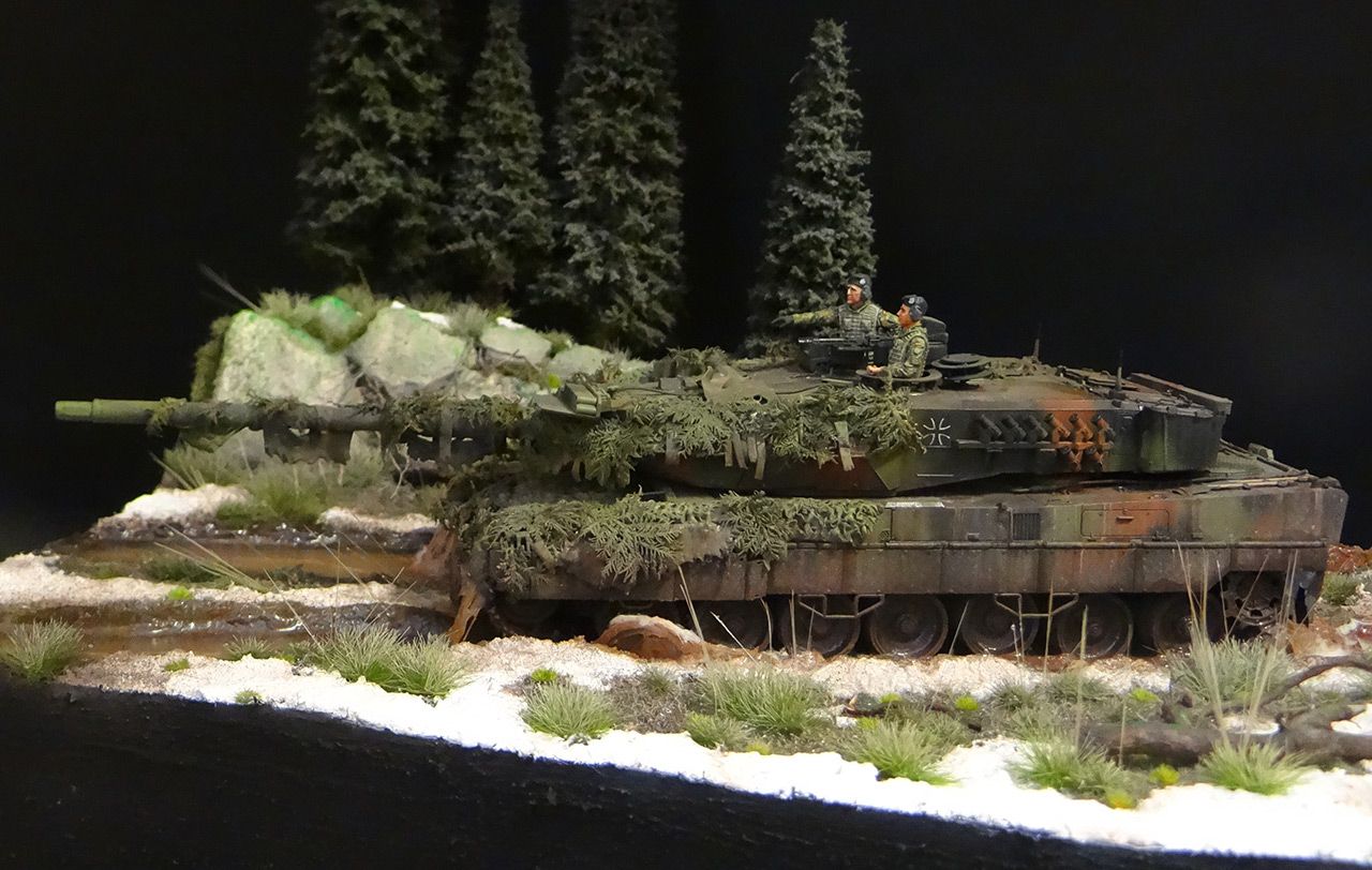 Dioramas and Vignettes: Leopard, photo #2