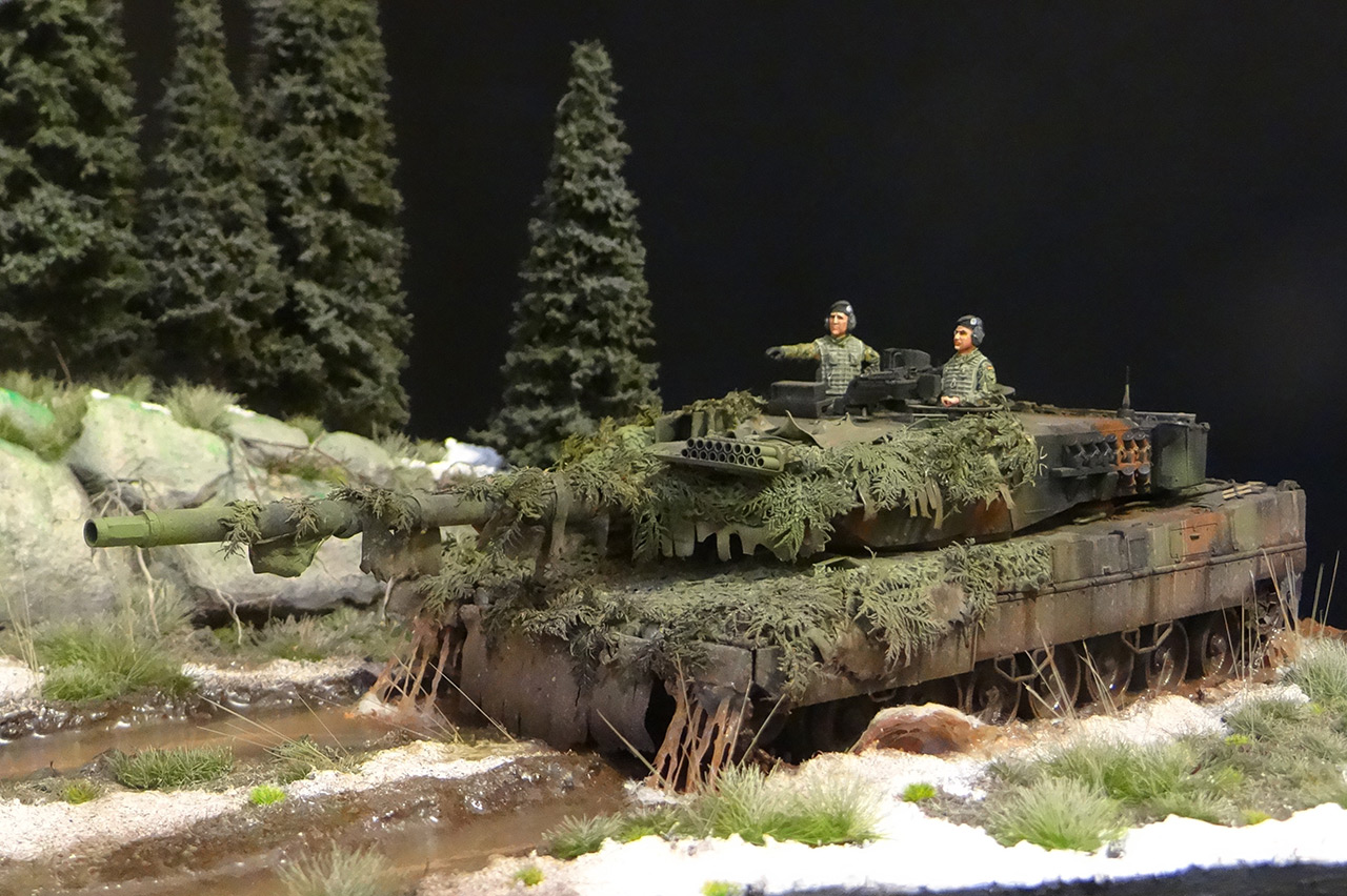 Dioramas and Vignettes: Leopard, photo #3