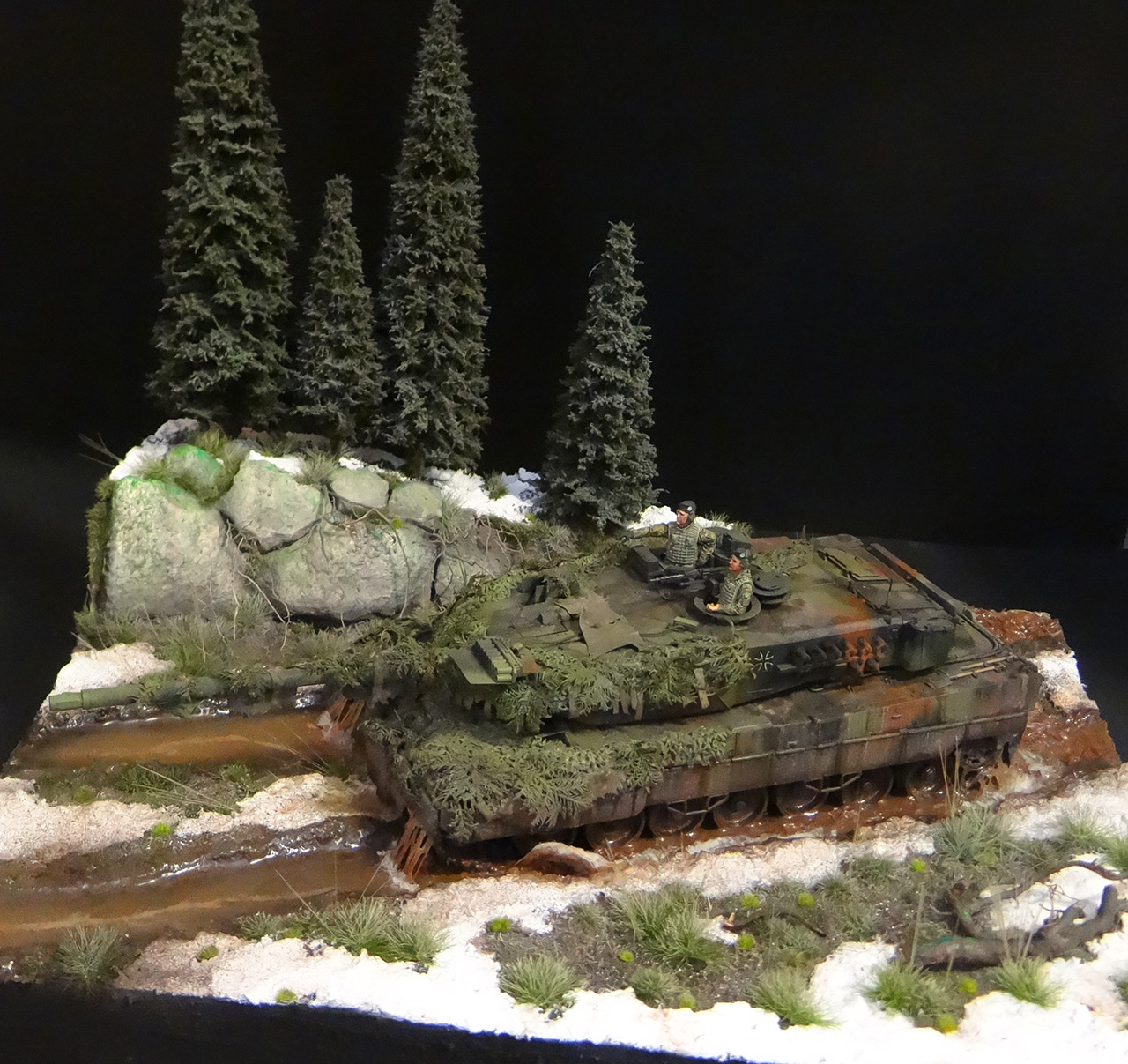 Dioramas and Vignettes: Leopard, photo #6