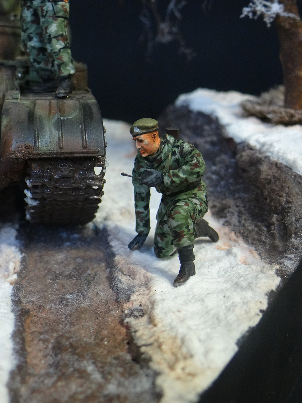 Dioramas and Vignettes: T-55A, photo #10