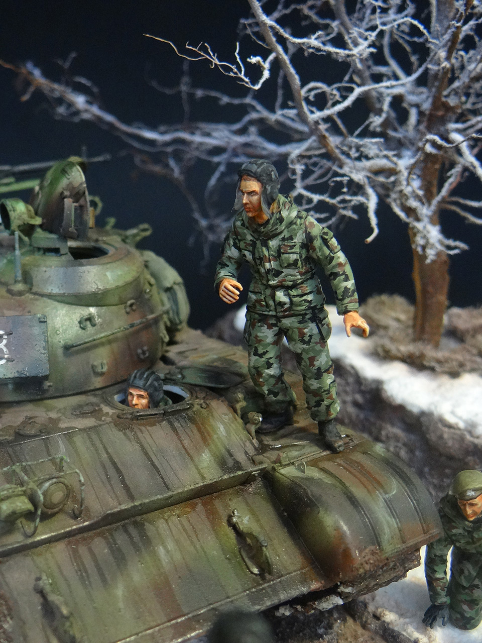 Dioramas and Vignettes: T-55A, photo #11