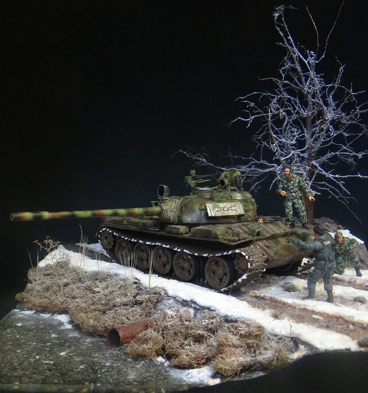Dioramas and Vignettes: T-55A, photo #2
