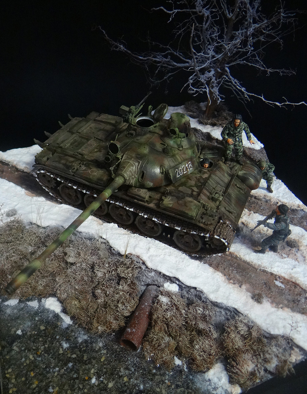 Dioramas and Vignettes: T-55A, photo #5