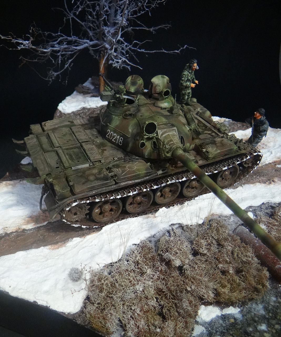 Dioramas and Vignettes: T-55A, photo #6