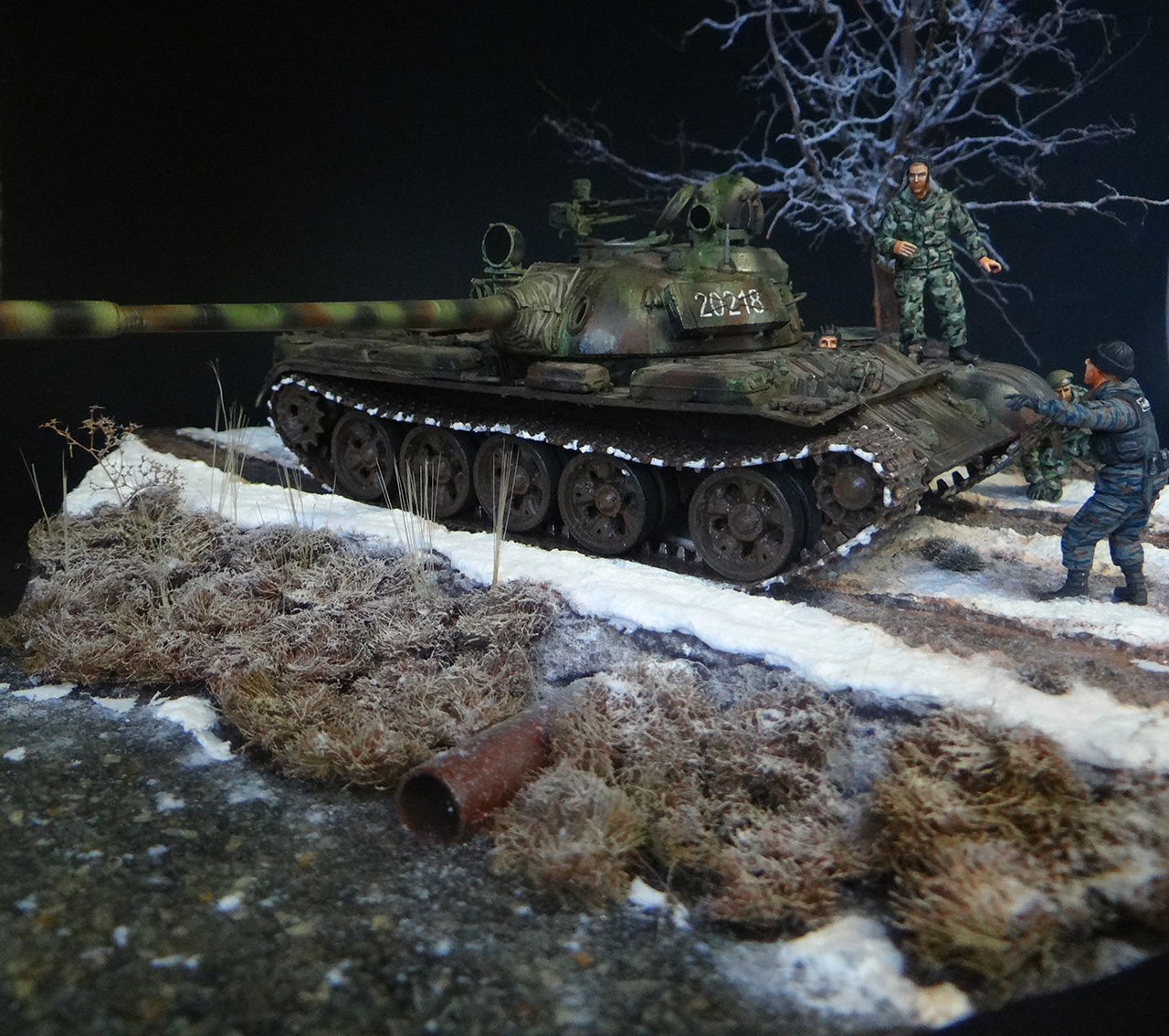 Dioramas and Vignettes: T-55A, photo #7