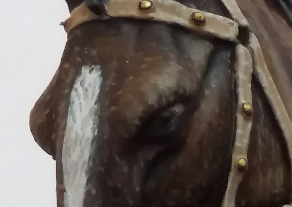 Диорамы и виньетки: Викинг из мира фэнтези, фото #21