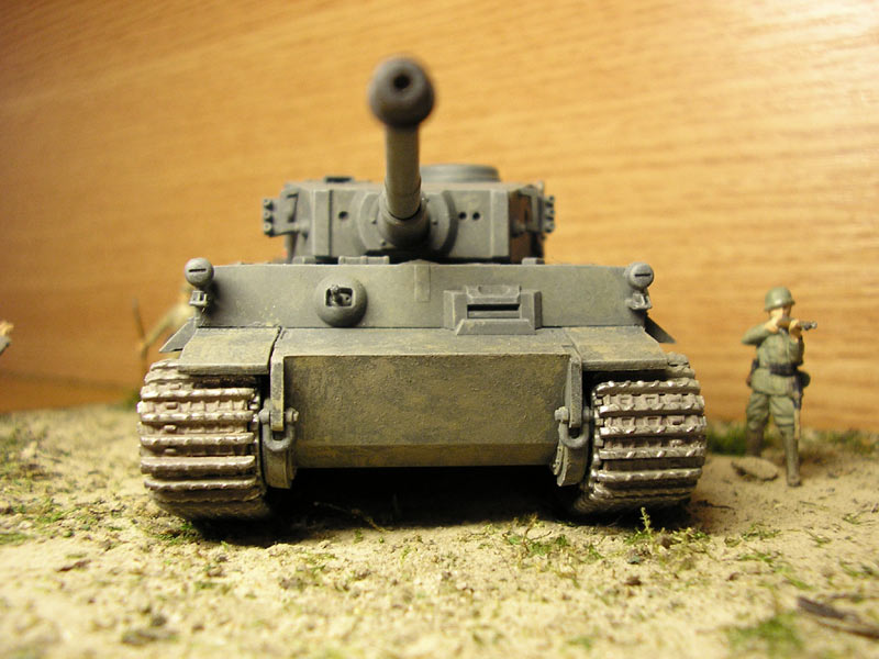 Dioramas and Vignettes: African Tiger, photo #10