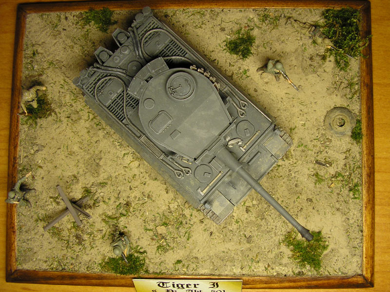 Dioramas and Vignettes: African Tiger, photo #12