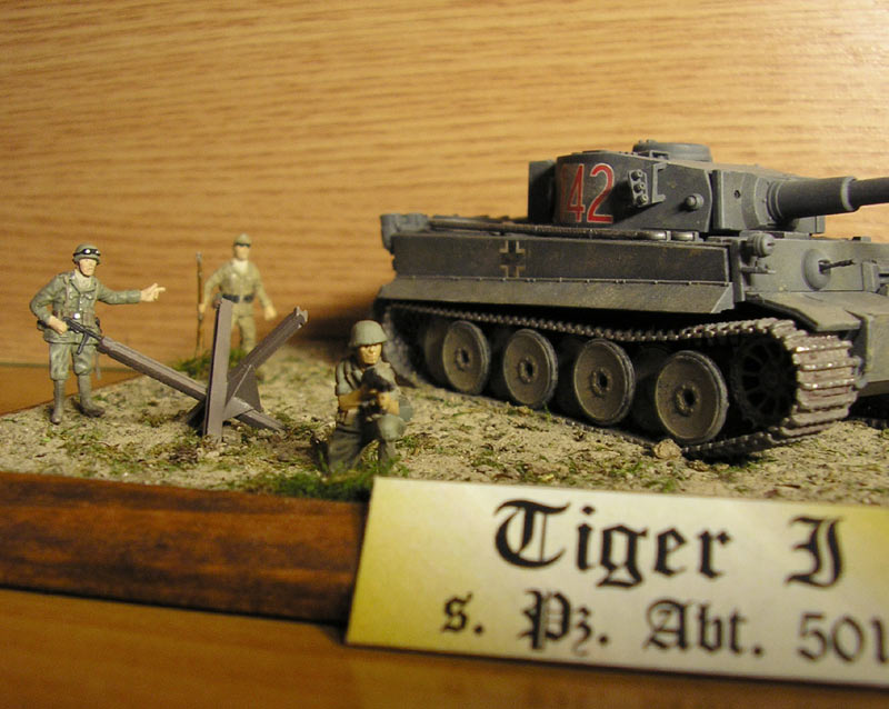 Dioramas and Vignettes: African Tiger, photo #2