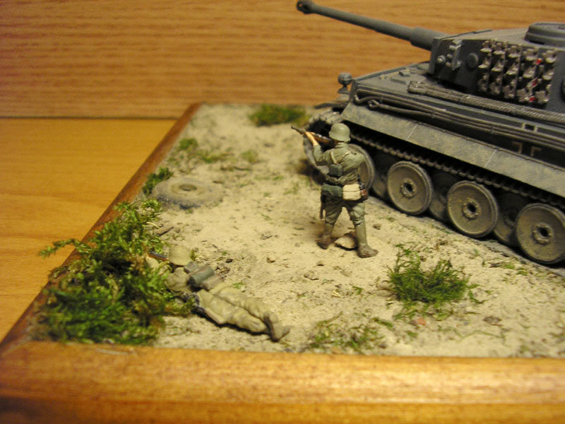 Dioramas and Vignettes: African Tiger, photo #3