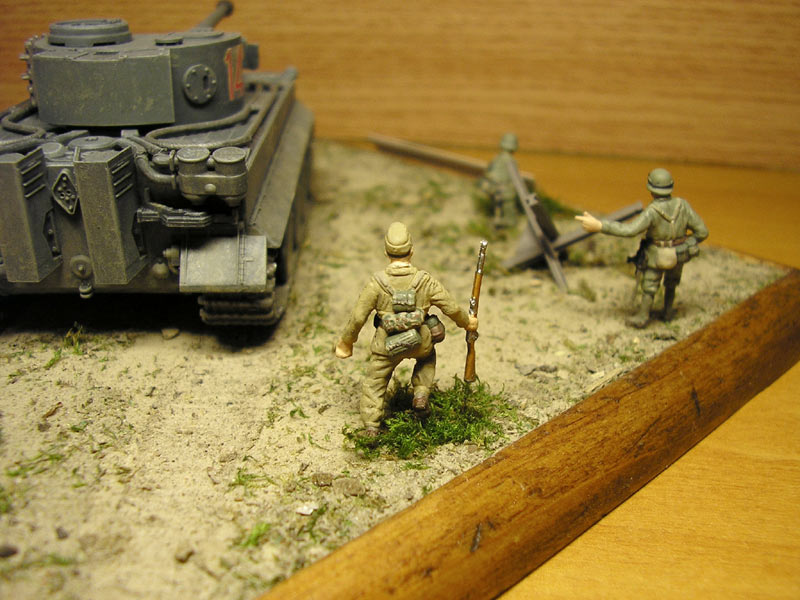 Dioramas and Vignettes: African Tiger, photo #8