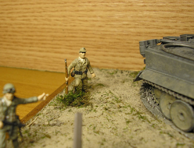 Dioramas and Vignettes: African Tiger, photo #9