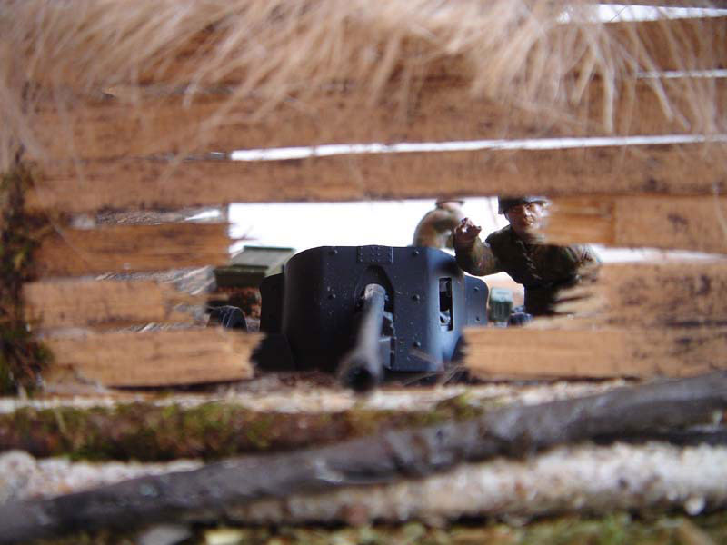 Training Grounds: At the Firing Position, photo #4