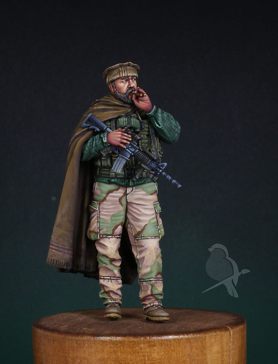 Dioramas and Vignettes: Tora Bora. 2001, photo #12