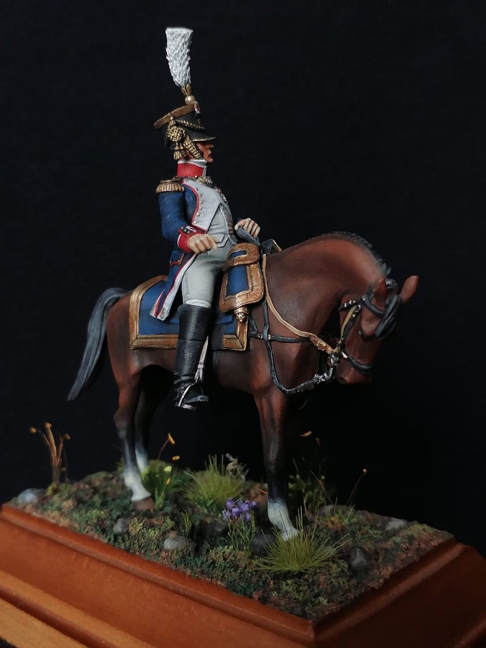 Figures: Line infantry colonel, France 1812, photo #3