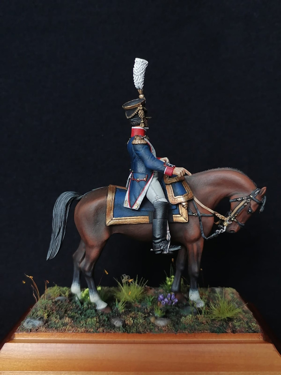 Figures: Line infantry colonel, France 1812, photo #4