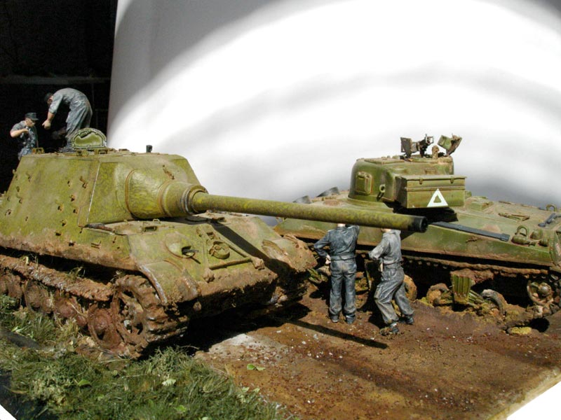 Dioramas and Vignettes: Hunting Tiger and Firefly, photo #6