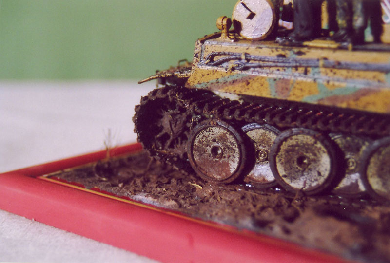 Figures: Tiger in the mud, photo #10