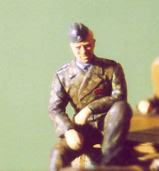 Figures: Tiger in the mud, photo #13
