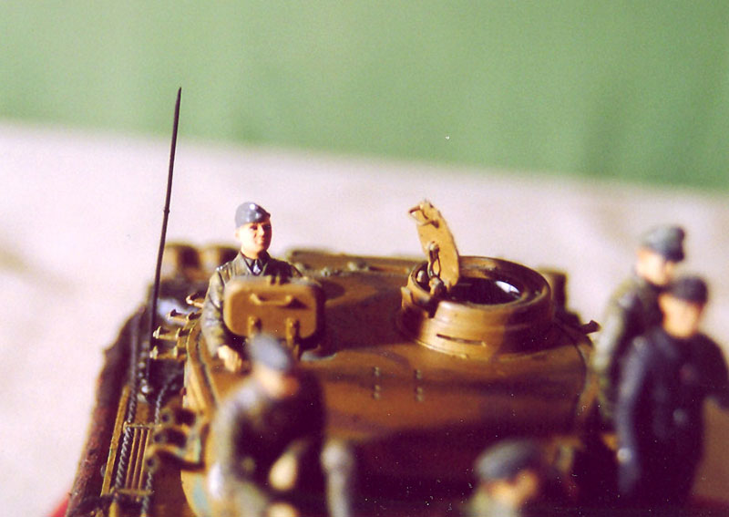 Figures: Tiger in the mud, photo #14