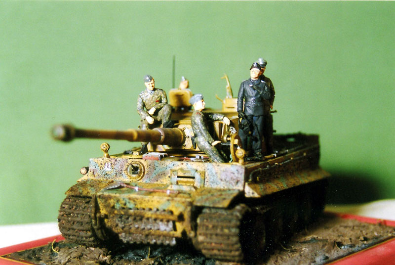 Figures: Tiger in the mud, photo #9