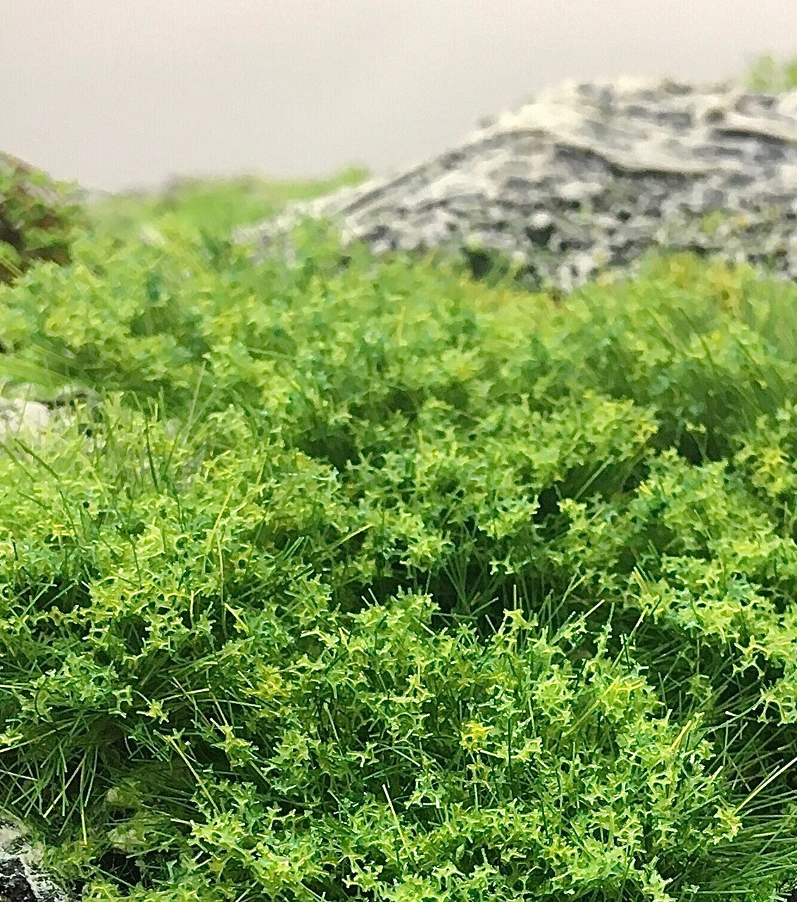 Диорамы и виньетки: Сердце горы, фото #6