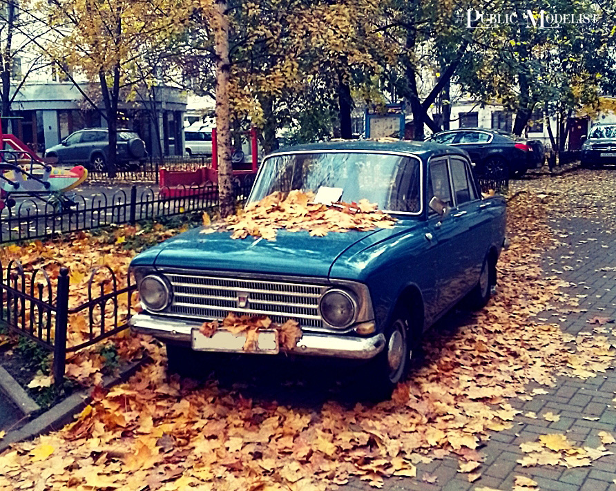 Диорамы и виньетки: Петроградский Москвич, фото #10